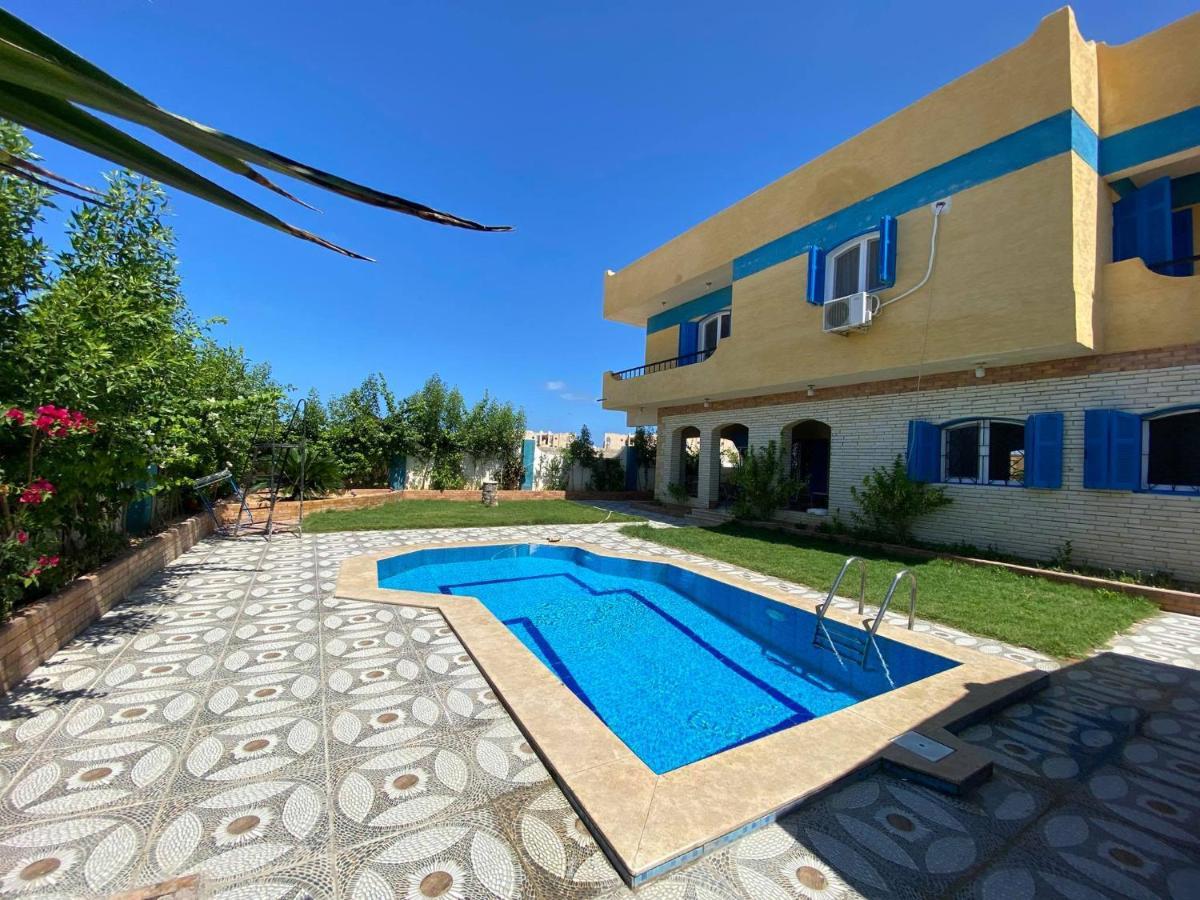 Blue House Villa Alexandria Exterior photo