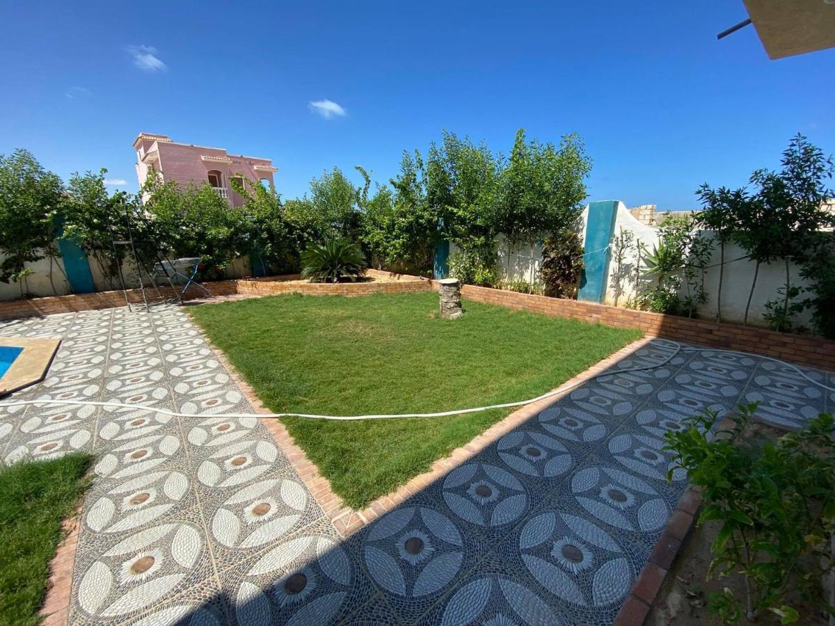 Blue House Villa Alexandria Exterior photo